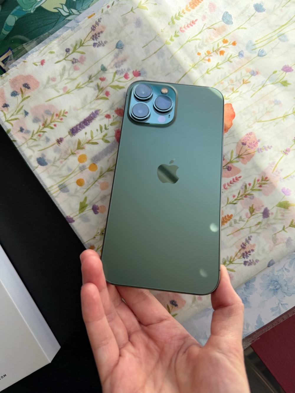 Apple iPhone 13 Pro Max in Green